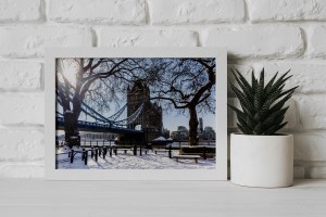 006_tower-bridge-trees-london-with-snow4