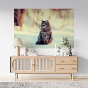 cute-siberian-cat-relaxing-outdoors-snow2